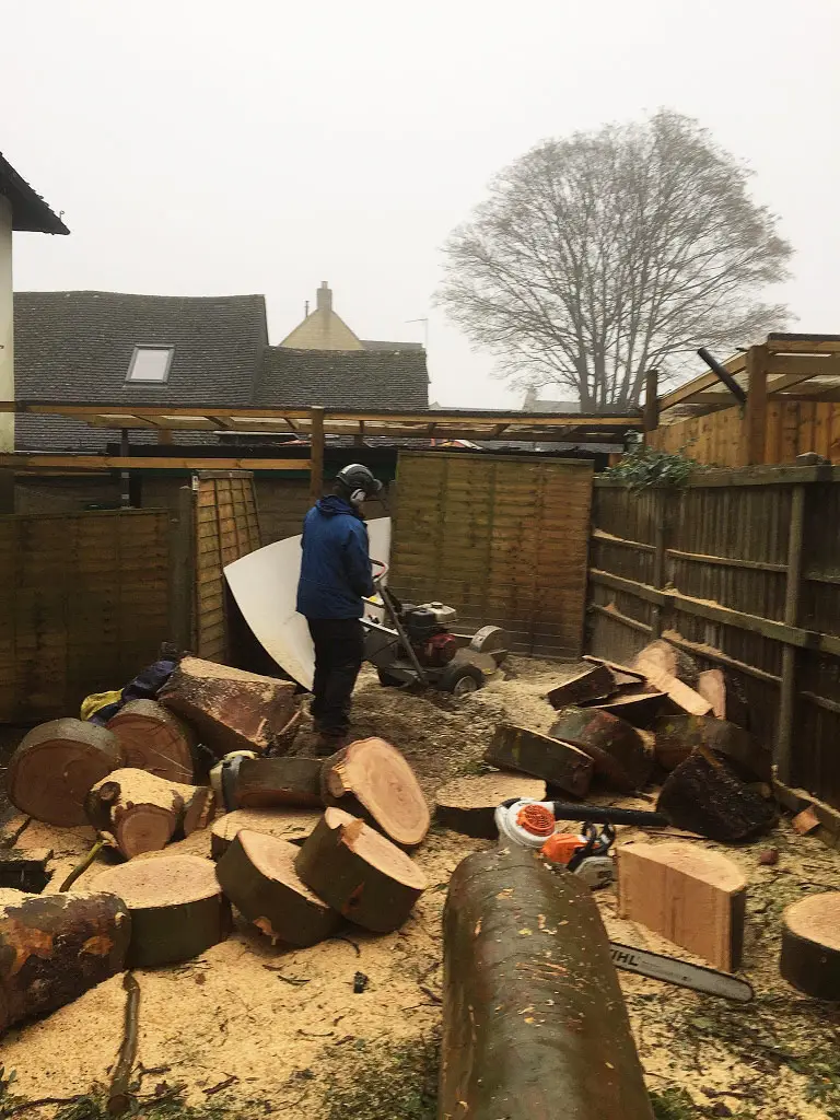 Tree Service