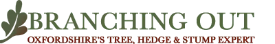 Branching Out Oxford Logo
