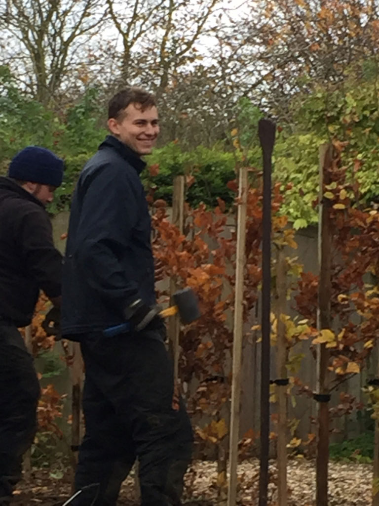 Tree Cutting