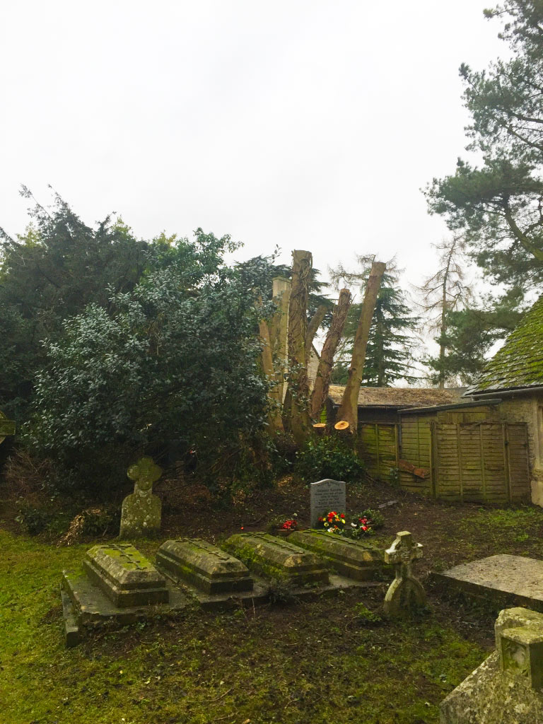 Tree Cutting